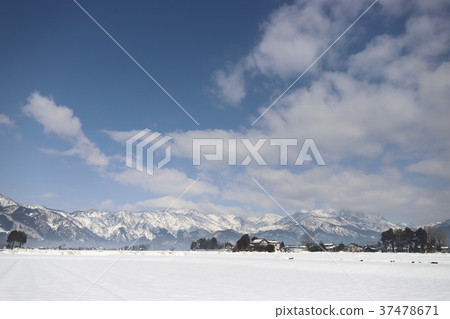 越前胜山雪（福井縣胜山市）的景觀 37478671
