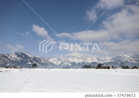 越前胜山雪（福井縣胜山市）的景觀 37478672