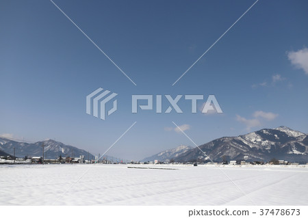 越前胜山雪(福井縣胜山市)的景觀 越前胜山雪(福井縣胜山市)的景觀 37478673