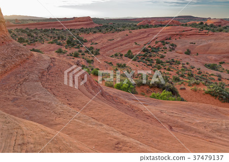 The Rocks of the Arches national Park 37479137