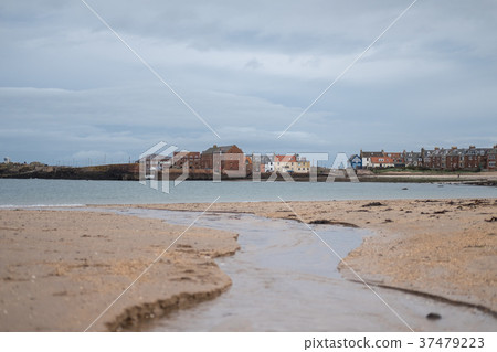 North Berwick in East Lothian, Scotland 37479223
