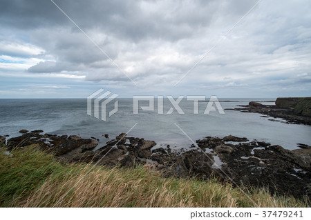 Rocky Beach Coast in Scotland Rocky Beach Coast in Scotland 37479241