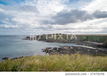 Rocky Beach Coast in Scotland 37479246