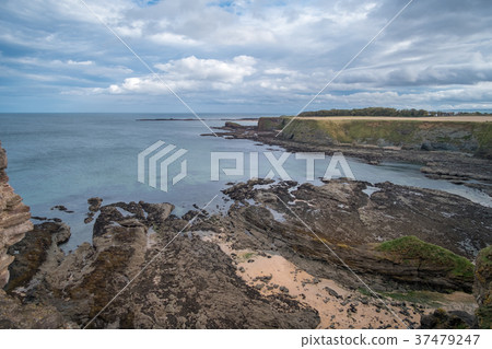 Rocky Beach Coast in Scotland Rocky Beach Coast in Scotland 37479247