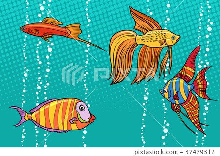 Set collection of aquarium fish 37479312