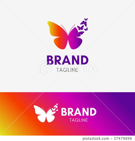 Butterfly Morph Logo 37479899