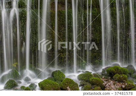 [Nagano Prefecture] Scenic Falls, a popular sightseeing spot 37481578