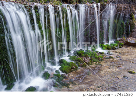 [Nagano Prefecture] Scenic Falls, a popular sightseeing spot 37481580