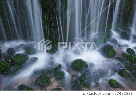 [Nagano Prefecture] Scenic Falls, a popular sightseeing spot 37481588