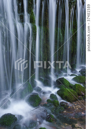 [Nagano Prefecture] Scenic Falls, a popular sightseeing spot 37481589