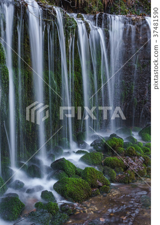 [Nagano Prefecture] Scenic Falls, a popular sightseeing spot 37481590