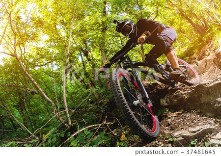 Sport. A cyclist on a bike with a mountain bike in Sport. A cyclist on a bike with a mountain bike in 37481645