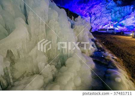 [Saitama] Popular Ashigakubo icicles 37481711