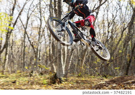 a young rider at the wheel of his mountain bike 37482191