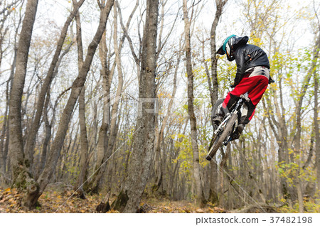 a young rider at the wheel of his mountain bike 37482198