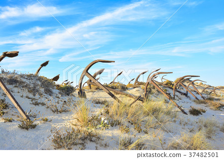 The old Anchor cemetery at the Barril beach The old Anchor cemetery at the Barril beach 37482501