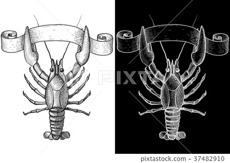 Lobster. Hand drawn sketch 37482910