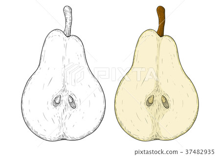 Half of pear. Colored and black and white hand 37482935