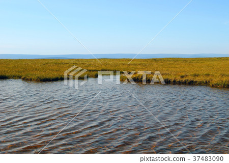 shallow mountain lake in the alpine meadow shallow mountain lake in the alpine meadow 37483090