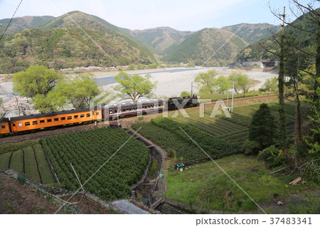 Oigawa Railway Oigawa Railway 37483341