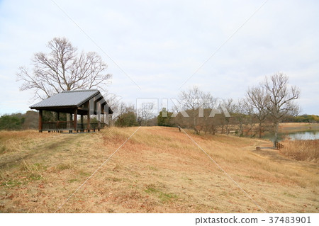 winter park 37483901