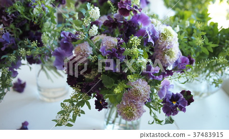 Spring has come! Pansy bouquet. Purple, green, white combination. Sweet pea too. Plenty of frills. Spring has come! Pansy bouquet. Purple, green, white combination. Sweet pea too. Plenty of frills. 37483915