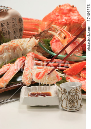 Snow crab 37484778