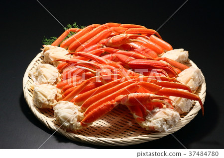 Snow crab Snow crab 37484780