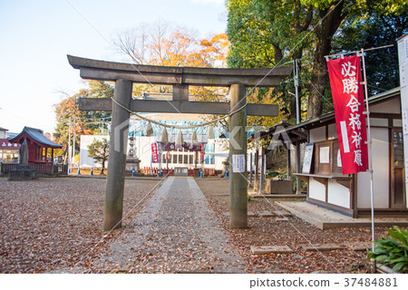 Kawagoe City Miyoshino Shrine Approach Kawagoe City Miyoshino Shrine Approach 37484881