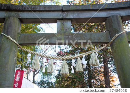 川越市Miyoshino Shrine Torii 川越市Miyoshino Shrine Torii 37484938