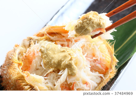 Hair crab 37484969