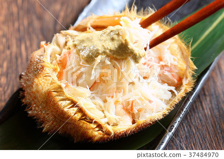 Hair crab Hair crab 37484970