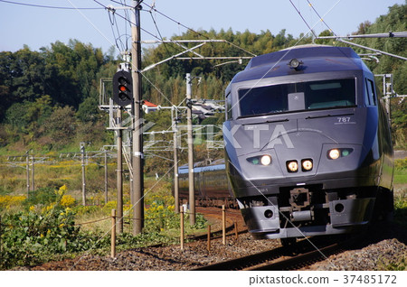 它是從長島到南方長時間的787系列燕子型車輛 37485172