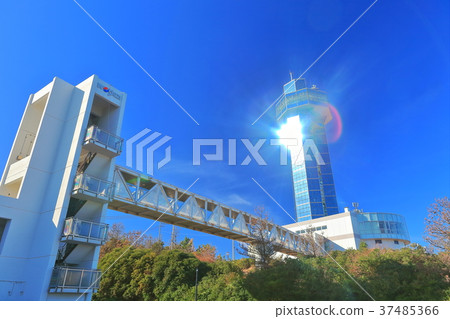 Dumpling port tower under fine weather 37485366