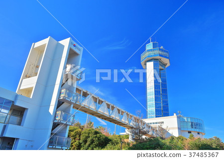 Dumpling port tower under fine weather 37485367