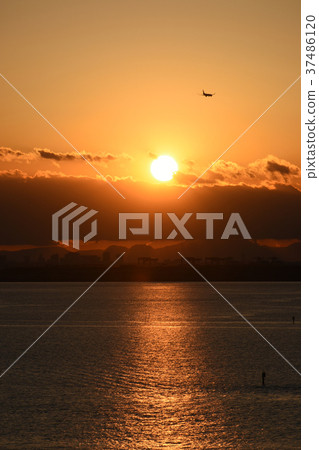 日本的城市景觀“東京灣和飛機,從舞濱看到的夕陽” 日本的城市景觀“東京灣和飛機,從舞濱看到的夕陽” 37486120