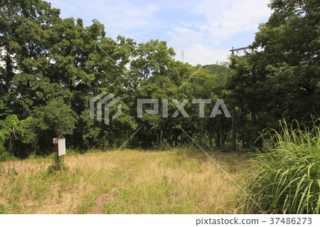 彌生城堡遺址 彌生城堡遺址 37486273