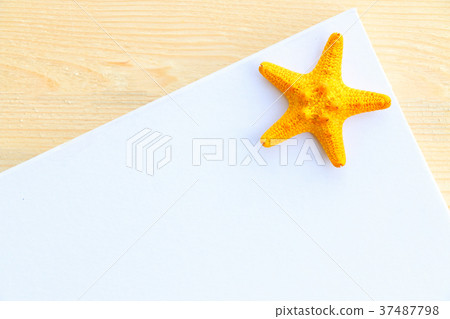 yellow starfish yellow starfish 37487798