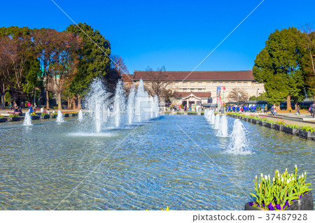 東京噴泉在上野公園 37487928