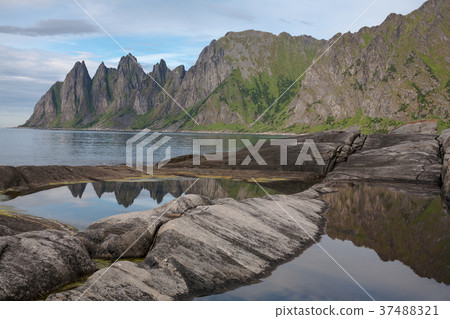 dragon's teeth 37488321