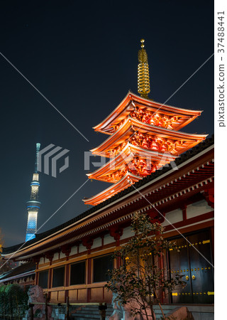 淺草寺五層塔和東京晴空塔夜景攝於2018年1月*裝修後 淺草寺五層塔和東京晴空塔夜景攝於2018年1月*裝修後 37488441