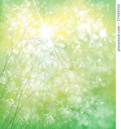 Vector summer, green, nature background. Vector summer, green, nature background. 37489509
