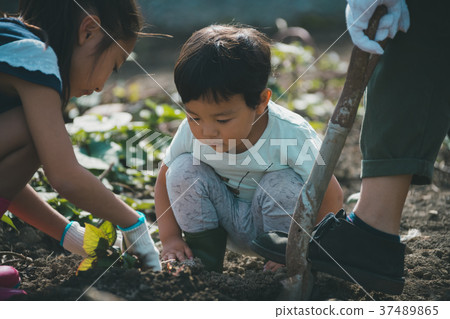 菜地 原野 田地 37489865