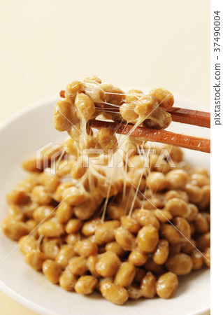Natto 37490004