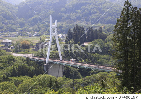 Suwa Gorge Ohashi in summer Suwa Gorge Ohashi in summer 37490167