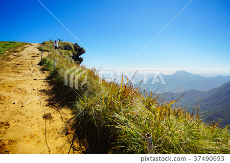 Landscape of Phu Chee Fa, Chiang Rai Thailand Landscape of Phu Chee Fa, Chiang Rai Thailand 37490693