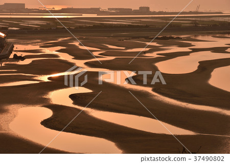 新Maiko的潮汐和日出 37490802