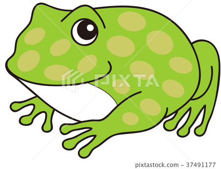 Belt frog character illustration 37491177