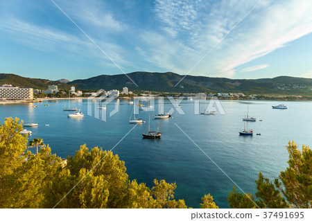 bay with yachts in Palma Spain bay with yachts in Palma Spain 37491695
