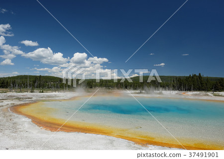 Hot thermal spring in Yellowstone 37491901